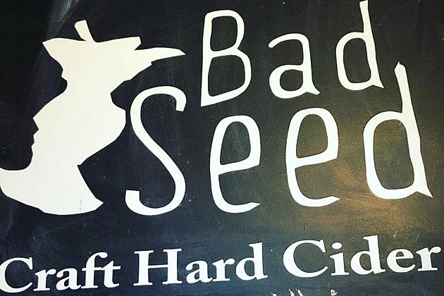 Bad Seed Cider Introduces Outdoor Performance Space