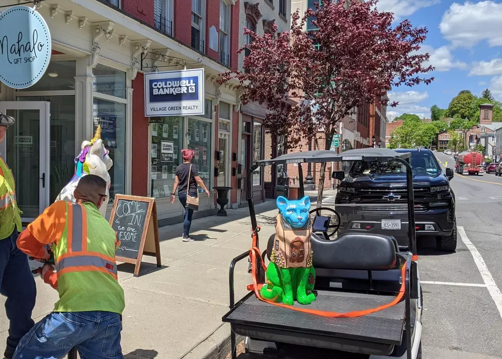 53 Colorful Cats Will Be Prowling Around in Catskill this Summer