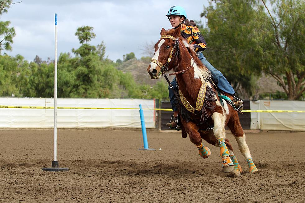 15 Places to Learn to Ride a Horse in the Hudson Valley