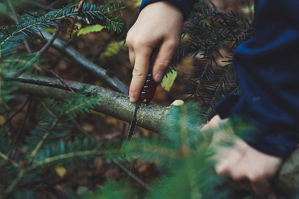 Learn to Survive in the Wild this Weekend at Bowdoin Park