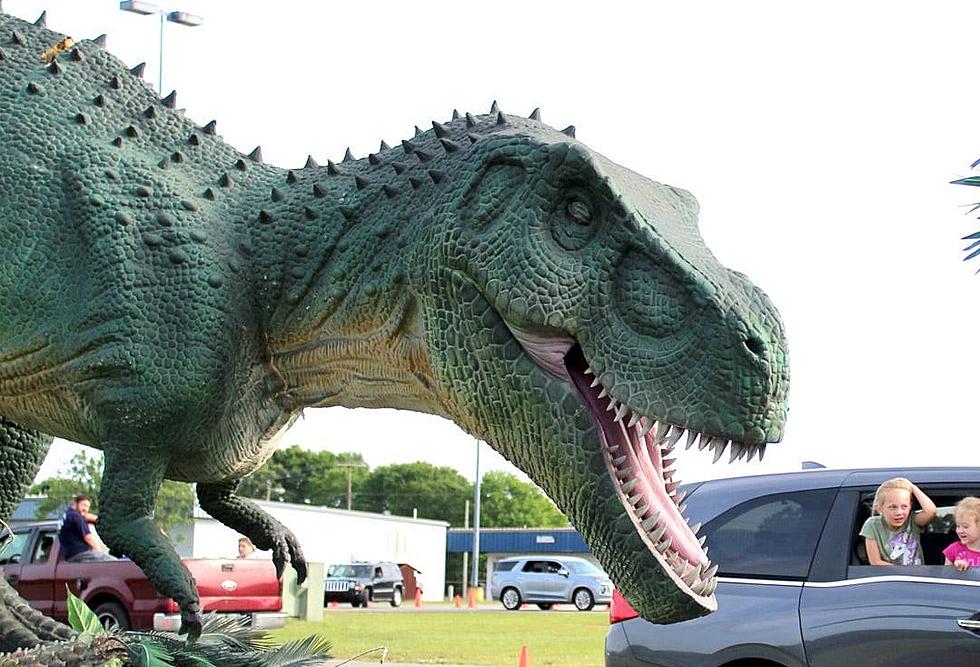 Dinosaurs Will Roam This Summer in Albany