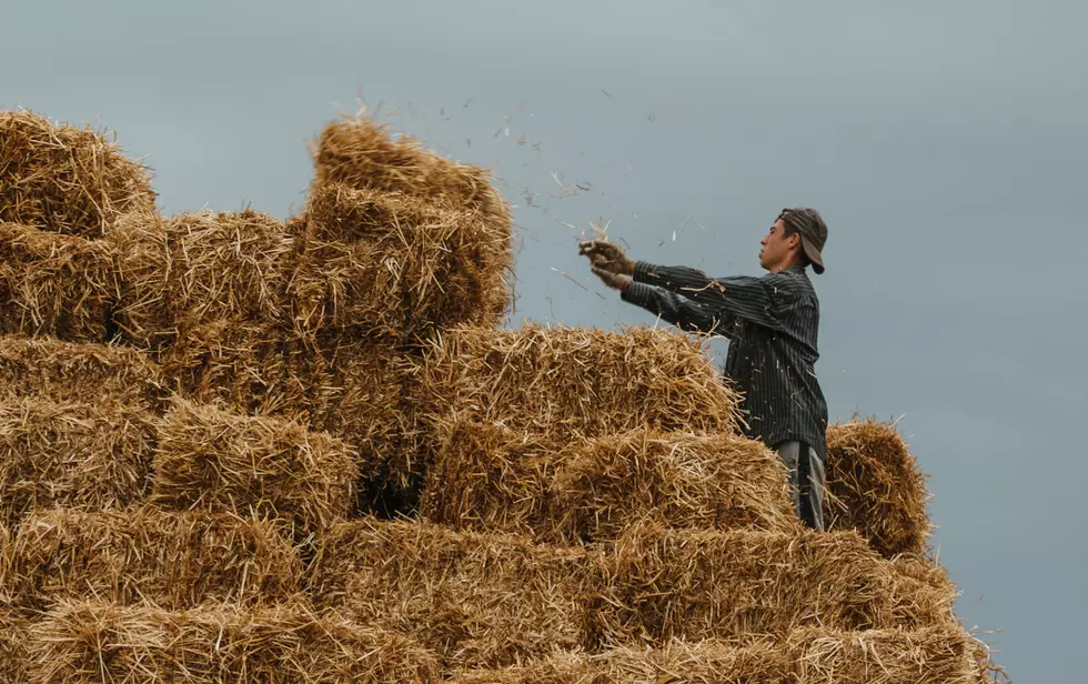 ‘Farm Hand Types’ Needed for Television Production in Staatsburg