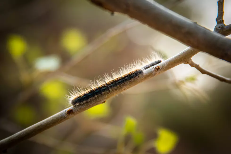 Photo by Patrick Hendry on Unsplash