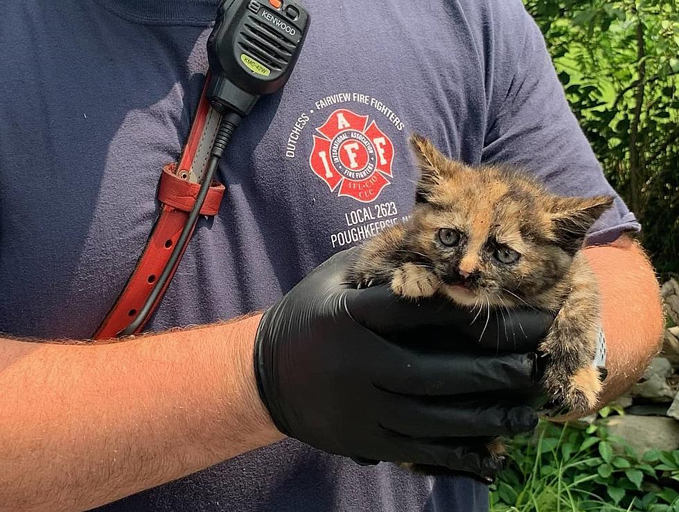 Poughkeepsie, NY Firefighters Restore Faith in Humanity with a Daring Rescue