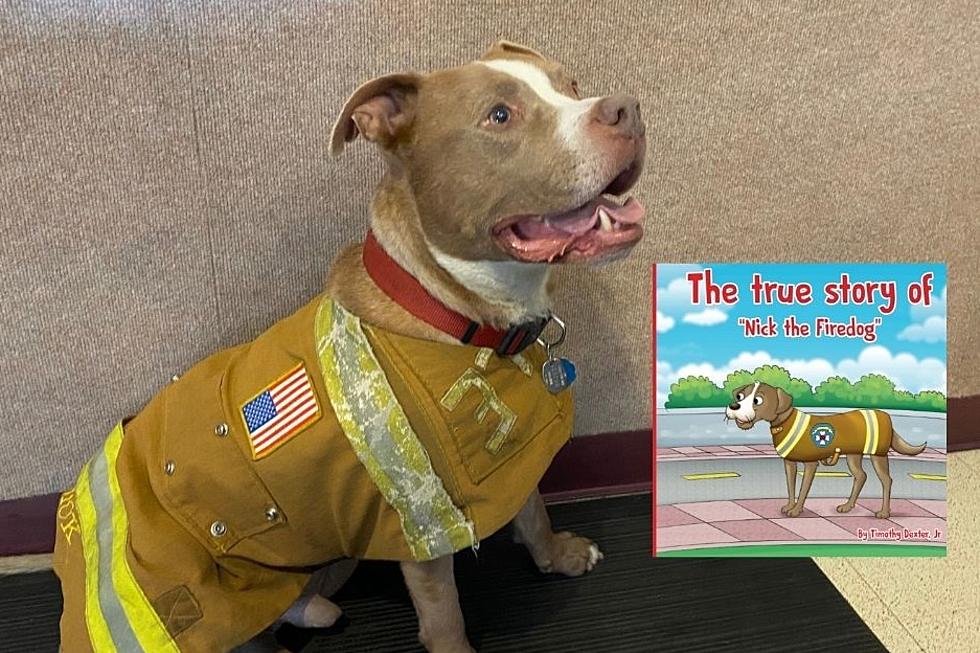 Newburgh Firedog Gets His Own Children's Book