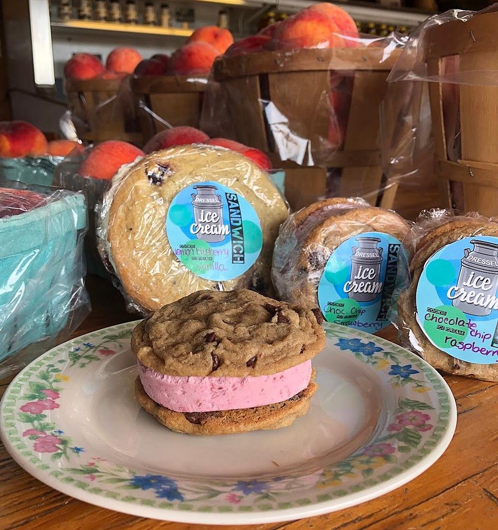 Fresh Local Farm Market Homemade Cookie Ice Cream Sandwiches Are a Hot Find