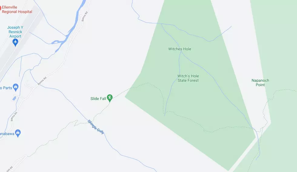 Witch's Hole State Forest via Google Maps