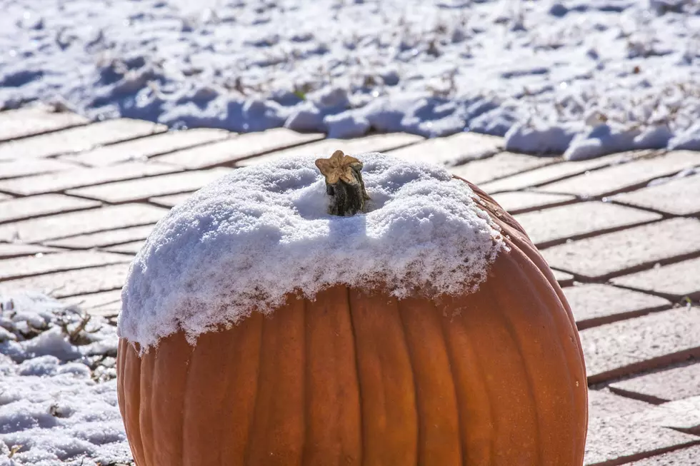 One Snow-Capped Orange Pumpkin