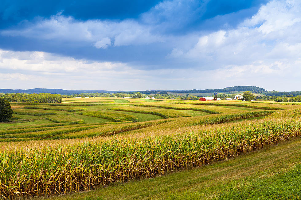 Open Letter to People Who Pull Over and Pick Fruit without Paying