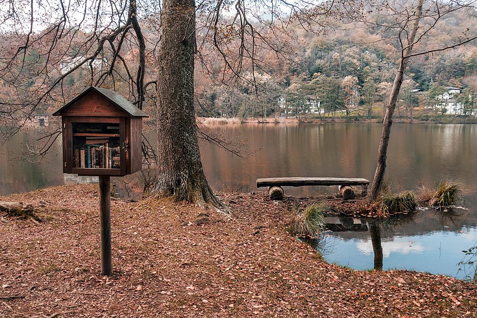 Why Little Houses on Sticks are Popping Up All Over the Hudson Valley