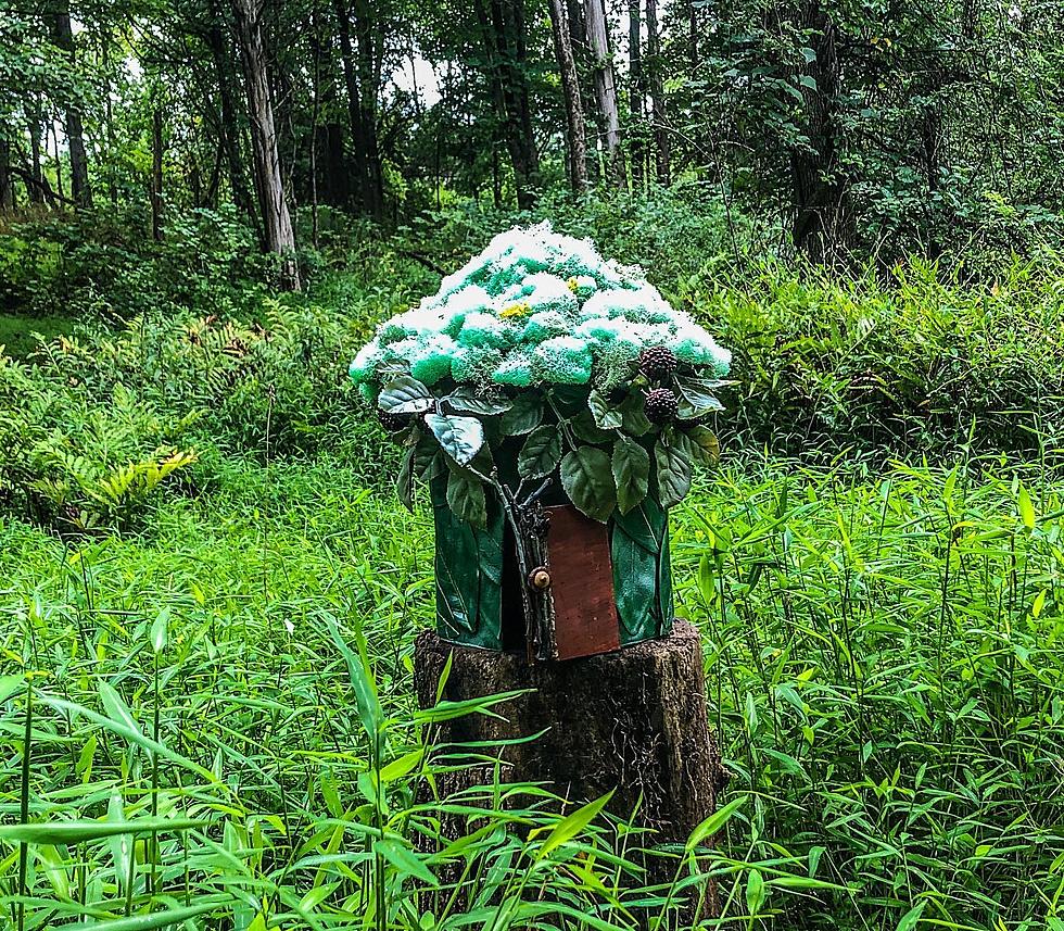 The Fairy Walk is Back in Beacon This Weekend