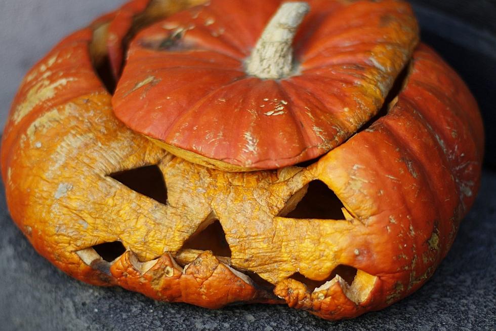 Do NOT Throw Your Old Halloween Pumpkins In The Woods! Here’s Why