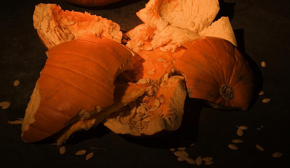 Wildly Popular Lake George Pumpkin Chunkin' Event Canceled