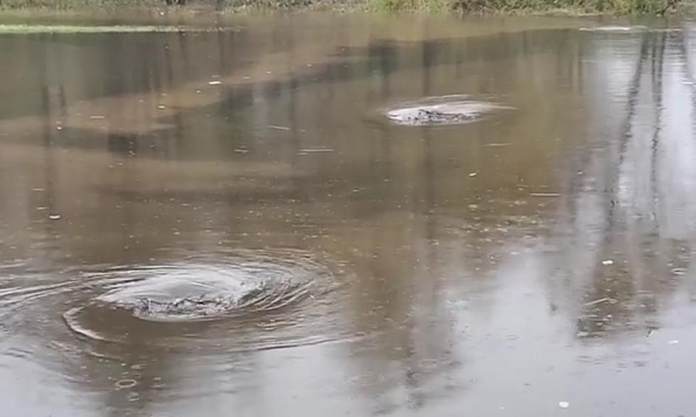 WATCH: Whirlpools Form on Monticello Road