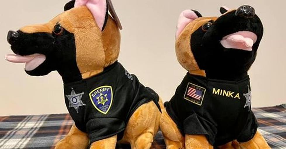 Dutchess County K9&#8217;s Get Their Own Stuffed Animals