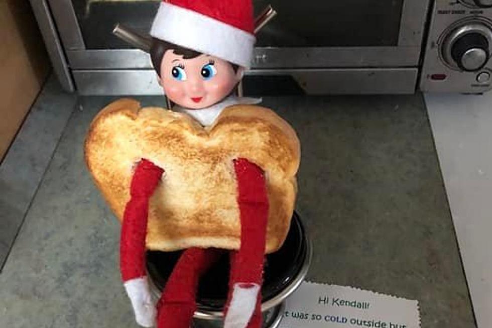 Captured:18 of the Hudson Valley’s Most Mischievous ‘Elf on the Shelf’
