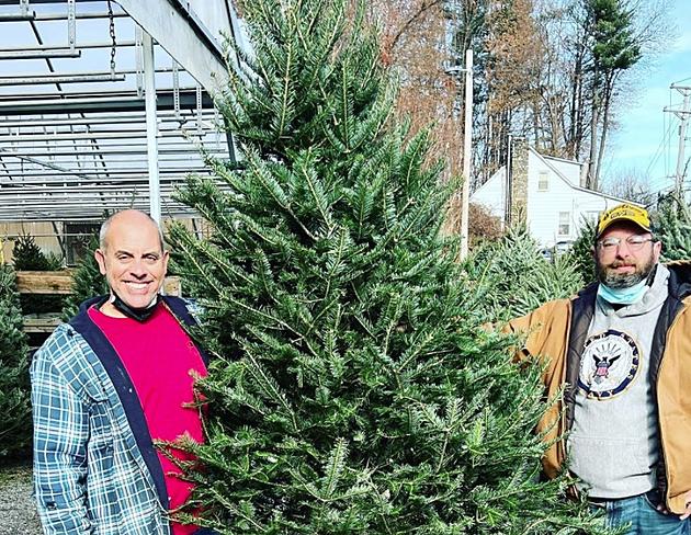 Cold Spring Business Donates Christmas Tree to Hudson Valley Vet