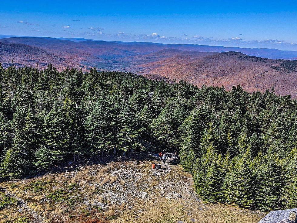 Hiker Falls 20 Feet From Tree near Hunter Mountain