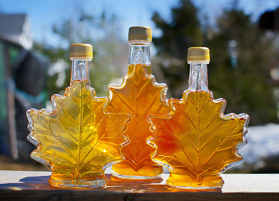 Sweet Sticky Goodness: Learn How to Tap Into New York&#8217;s Maple Syrup