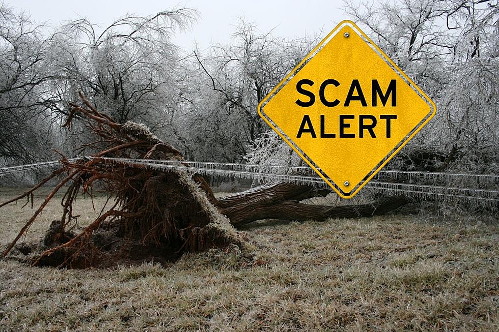 Damage from Ice Storm Landon in Ulster County Leads to More Scams