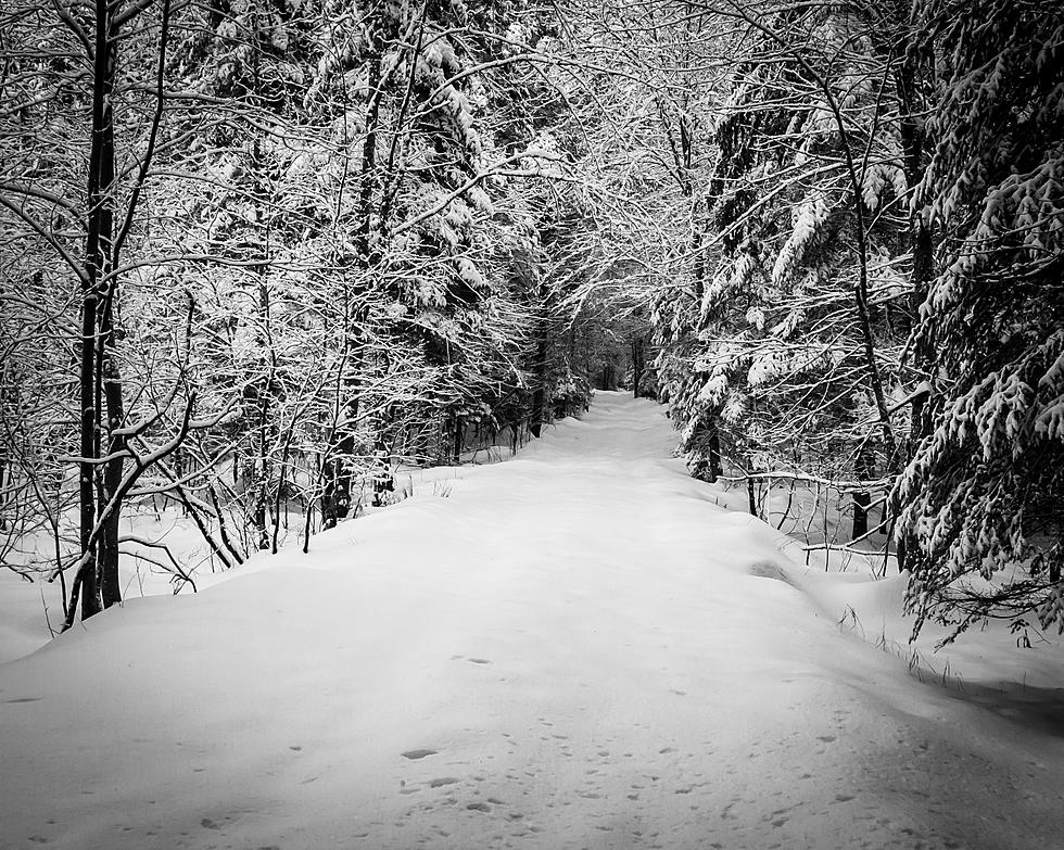 Red Hook Hiker Rescued on Appalachian Trail