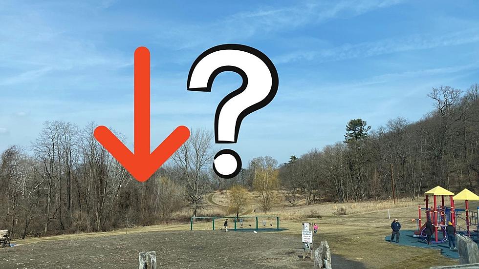 What's Missing From This Wappingers Park?