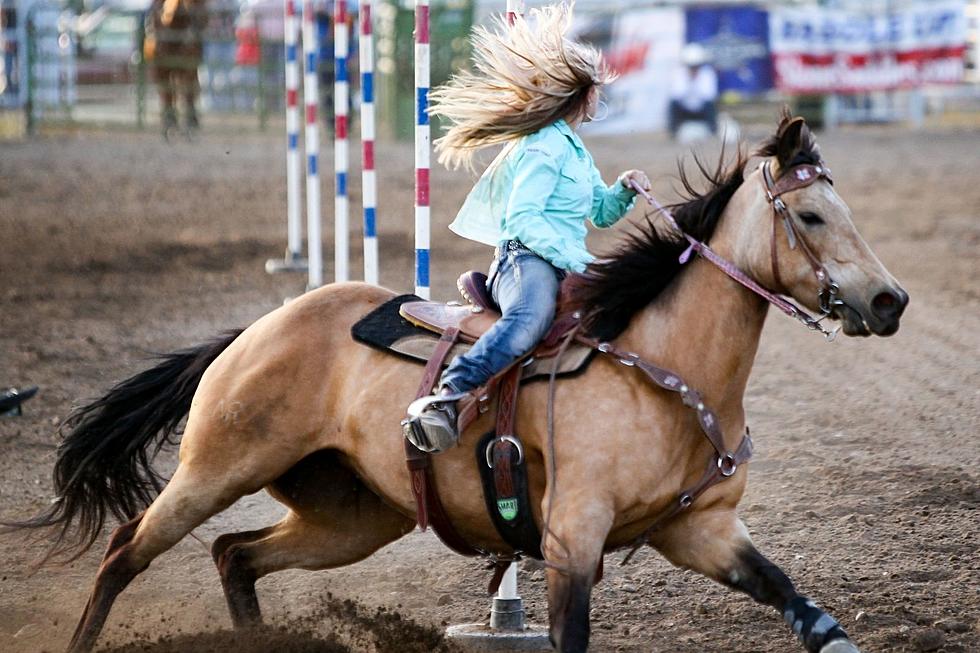 Popular New York Rodeo Closed After 40 Years in Business