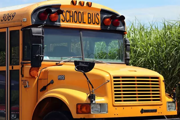 Could Yellow School Buses be Turning Green in the Hudson Valley?