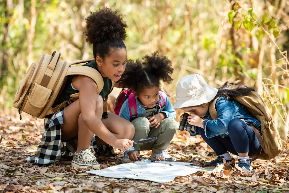 Happy Three little girls hiking together in forest in summer