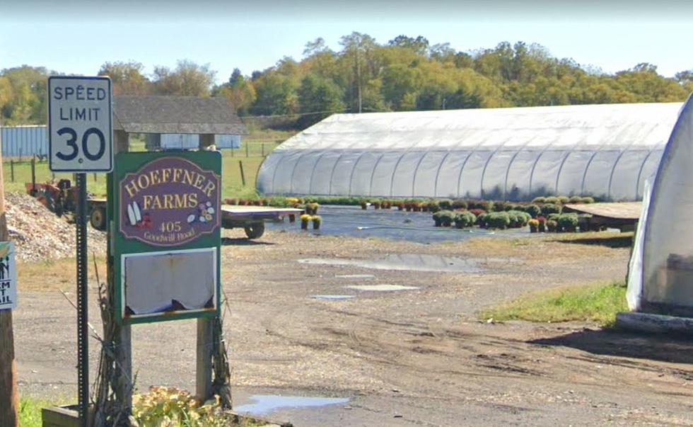 Farm Excited to Host Vendor Blender in Montgomery, New York