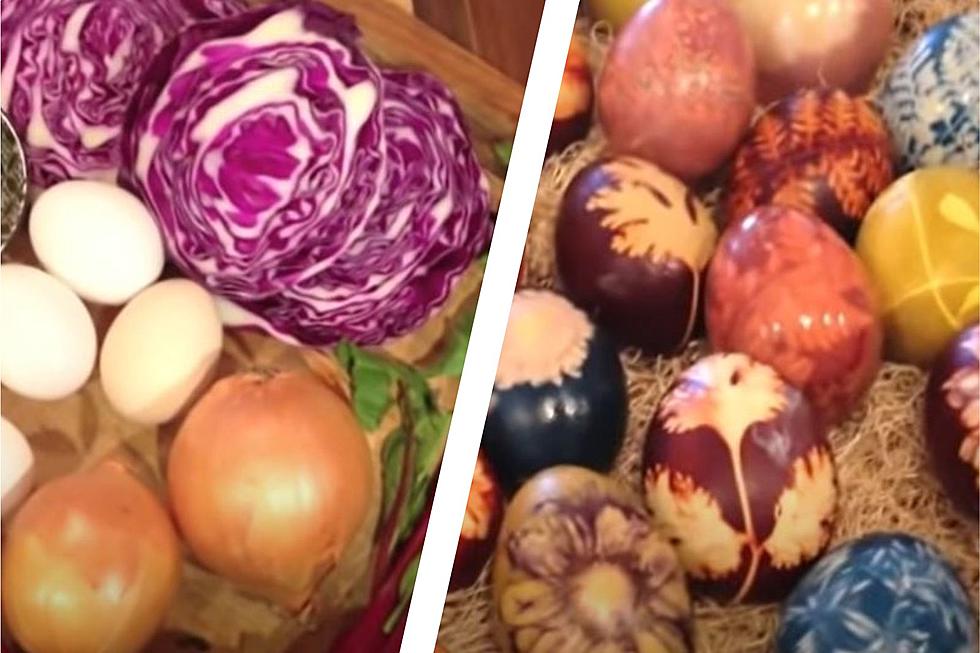 How to Naturally Dye Easter Eggs with Hudson Valley Veggies