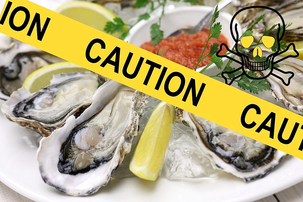 Warning issued For Raw Oysters in New York