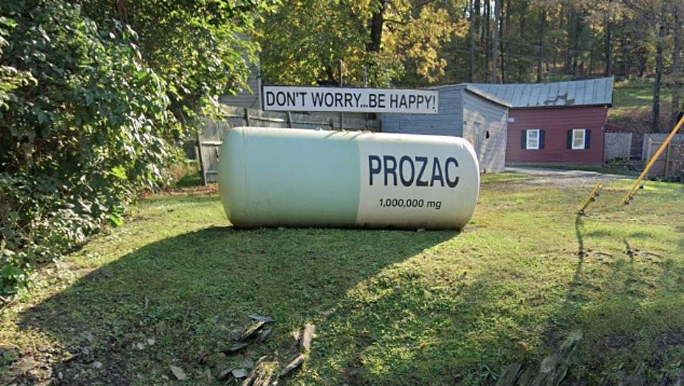 Did You Know Red Hook, NY Is Home to a Giant Prozac Pill?