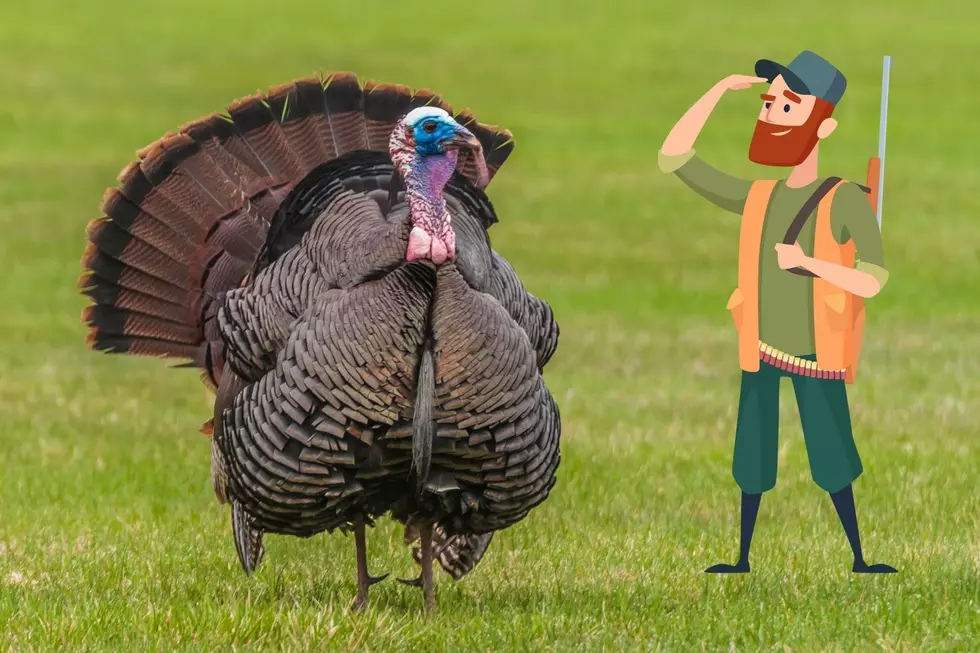 5 Things Every Turkey Hunter Needs to Know Before Entering the Woods