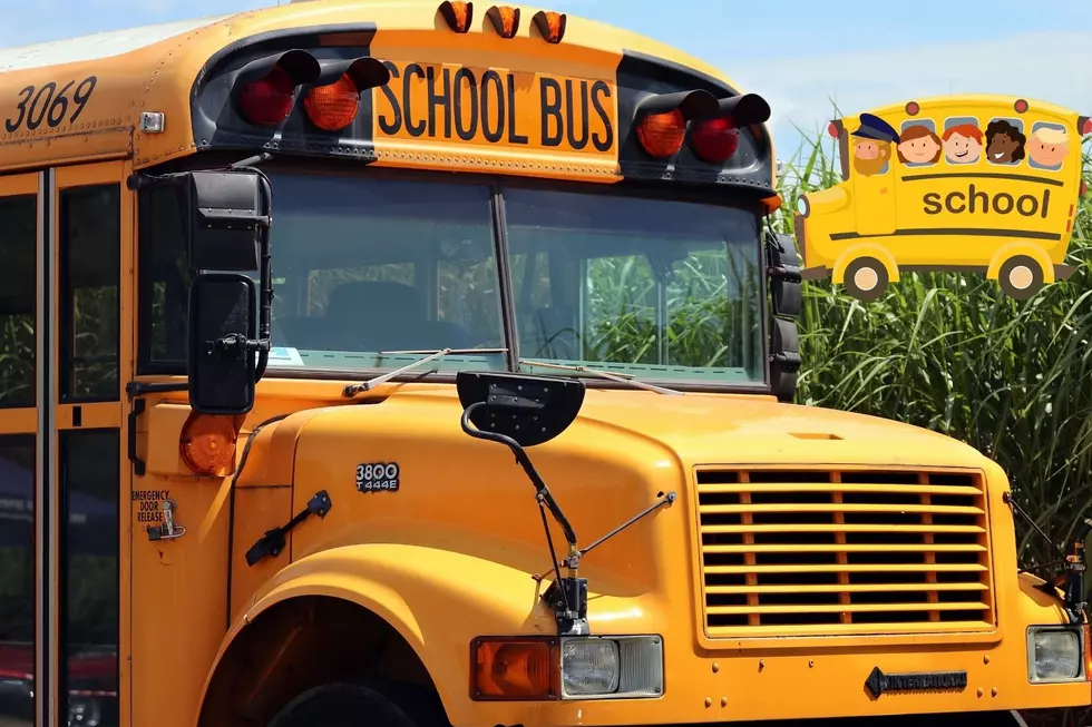 One New York School Wants You To, &#8216;Come Test Drive A School Bus&#8217;