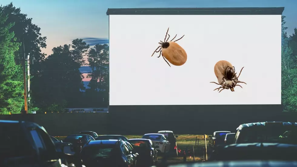 Dutchess County Tackles Ticks On the Big Screen