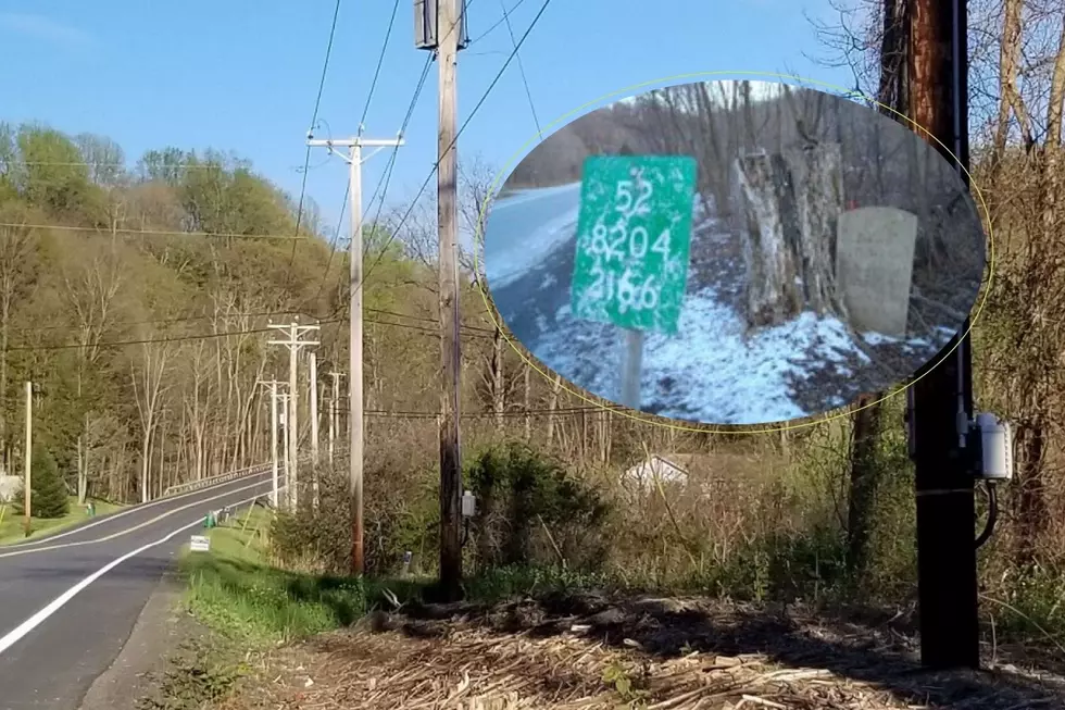 Why Are Headstones Scattered Along A New York Highway