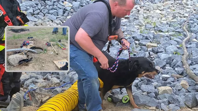 Wallkill, NY First Responders Save Dog Stuck in a Pipe