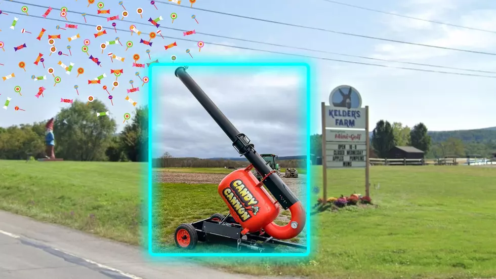 Kerhonkson, NY Farm Launches Candy Cannon