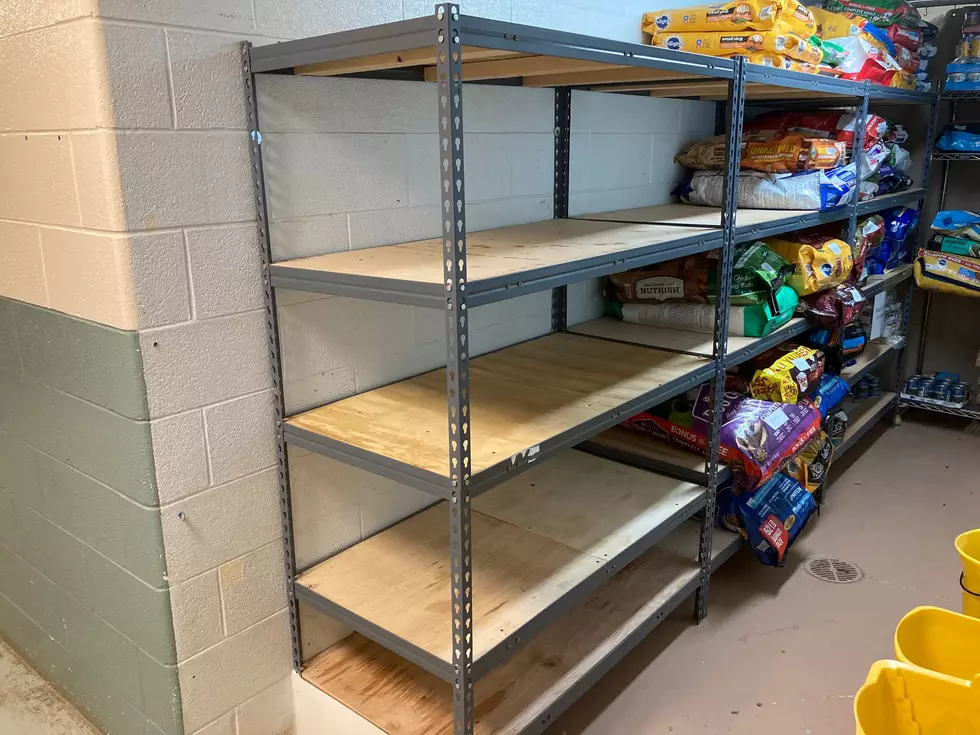 Ulster County Animal Shelter in Dire Need of Dog Food