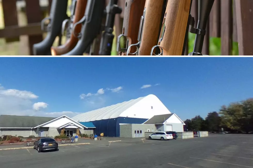 Decision Made to Cancel Gun Show in Saugerties, New York