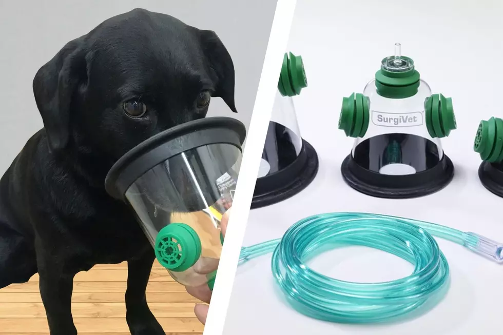 Pet Oxygen Masks Needed for Fire Departments New York