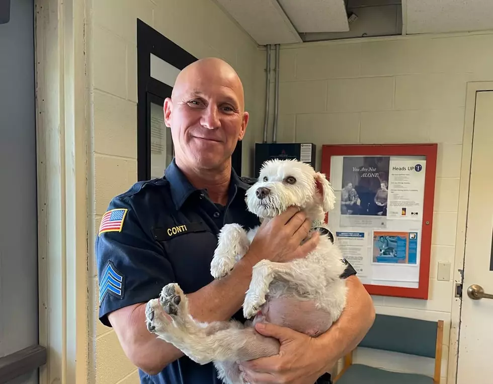 Beacon, NY Police Sergeant Saves Small Dog From Attack