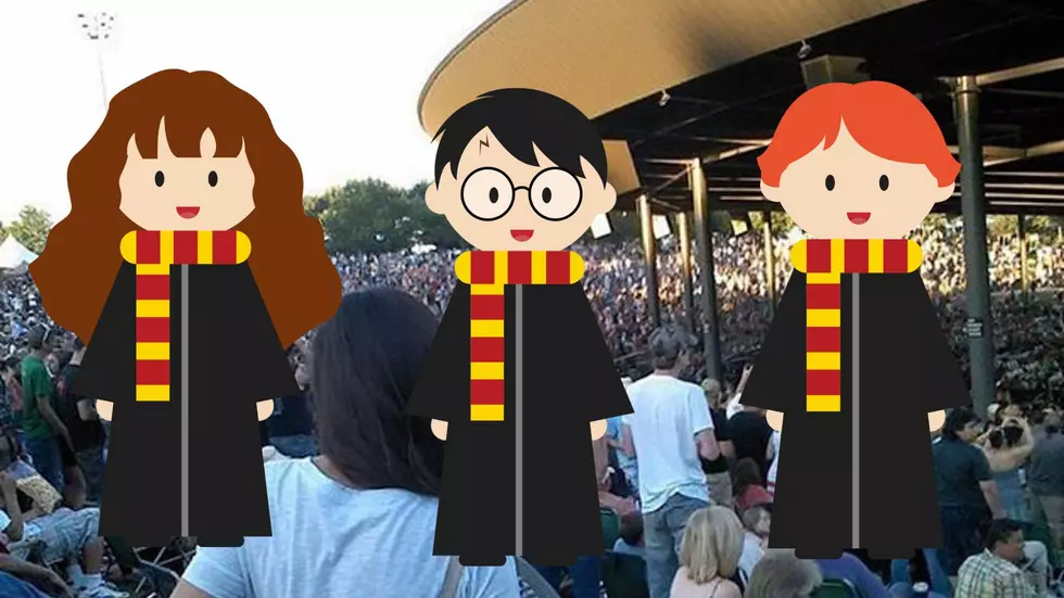 Potterheads! Prepare for a Magical Night at Bethel Woods 