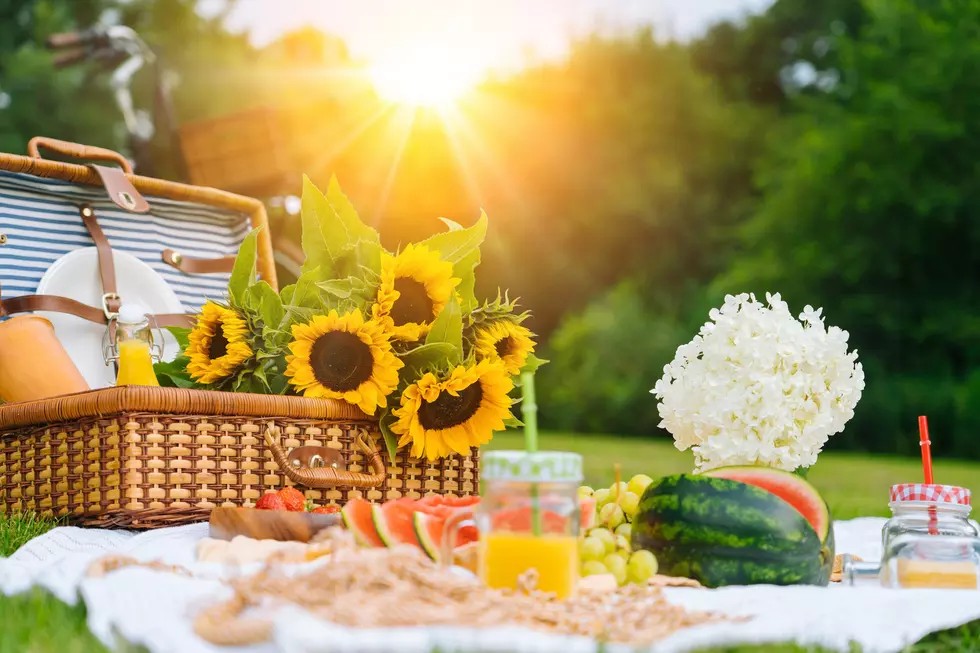 When is Sunflower Season in New York