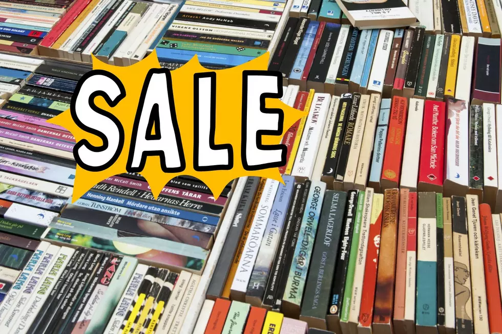 Book Sale Will Help Food Pantry In Gardiner, New York