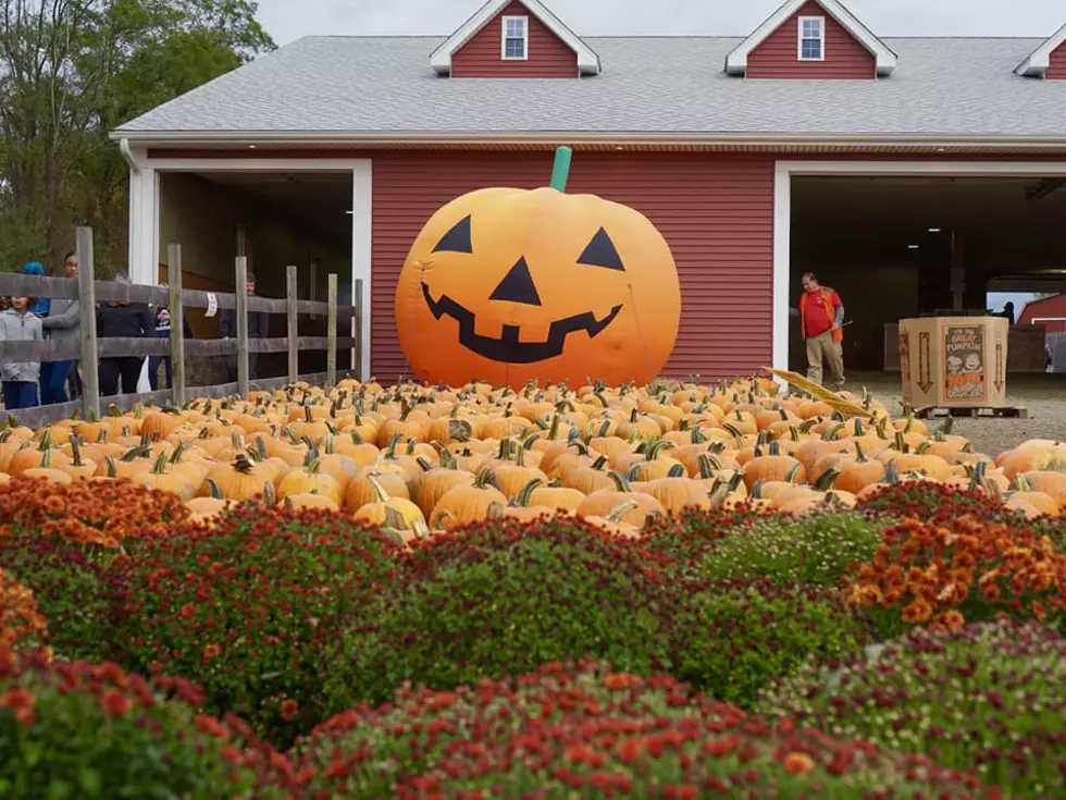 Where Are You Picking Your Hudson Valley Pumpkins This Fall?