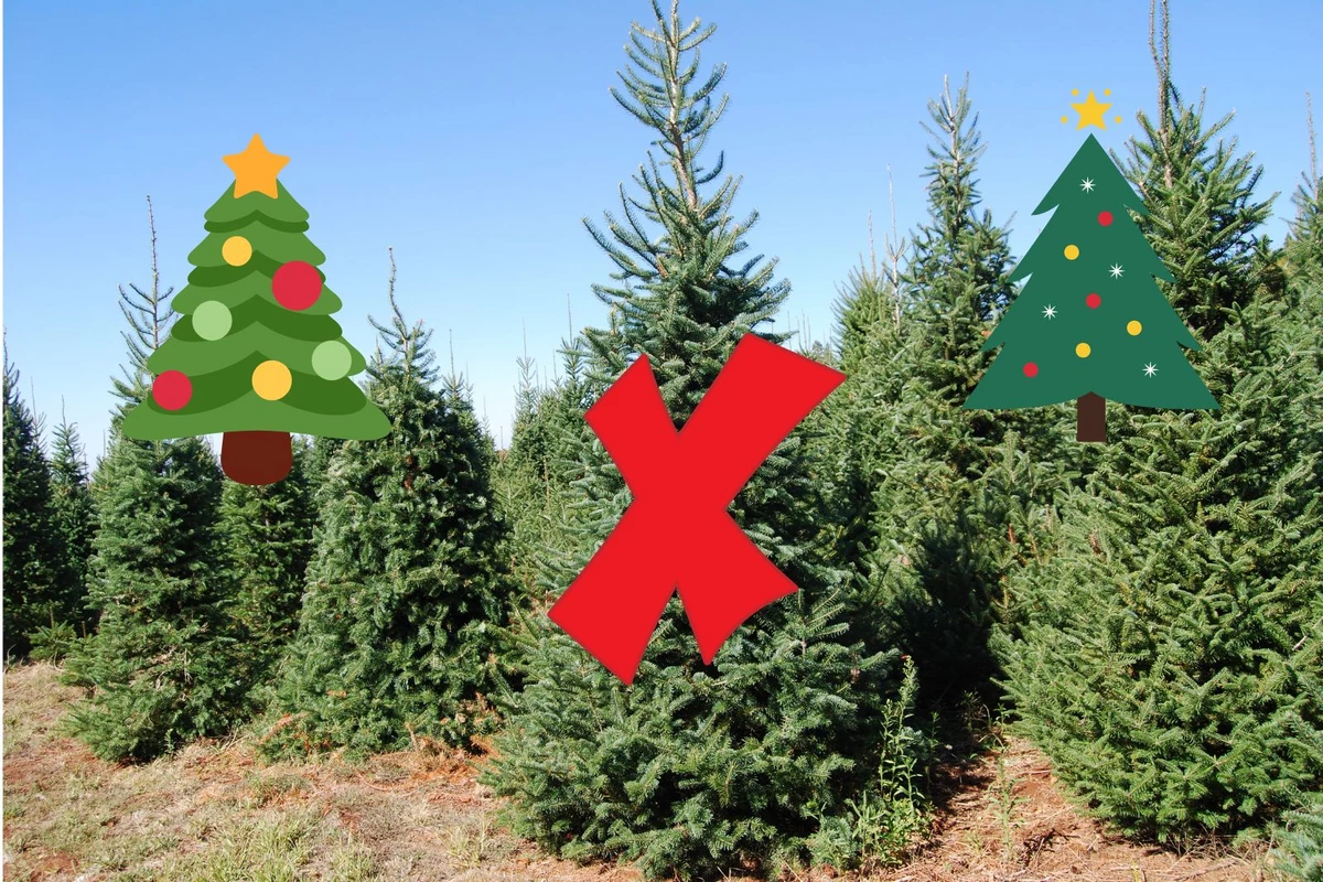 Christmas Tree Shortage