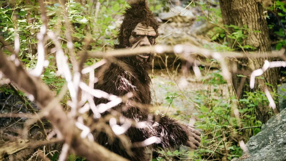 Bigfoot Vocalizations Heard in Hyde Park, New York