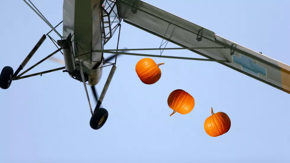 Watch Pumpkins Get Chucked Out of Planes in Rhinebeck, NY